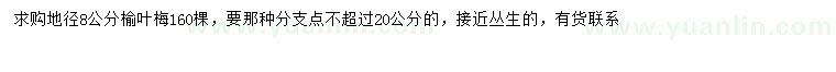 求購地徑8公分榆葉梅