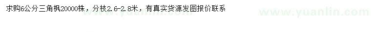 求購6公分三角楓