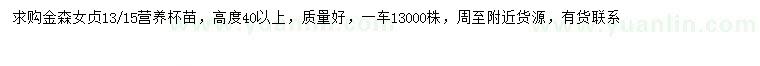 求購高40公分以上金森女貞