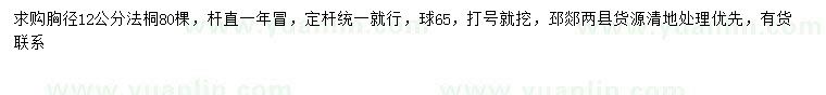 求購胸徑12公分法桐