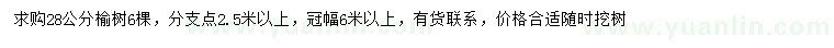 求購(gòu)28公分榆樹
