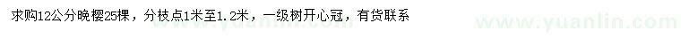 求購12公分晚櫻