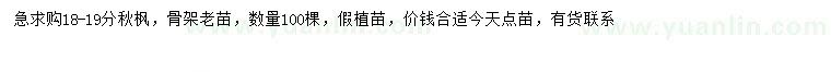 求購18-19分秋楓