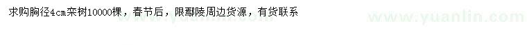 求購胸徑4公分欒樹
