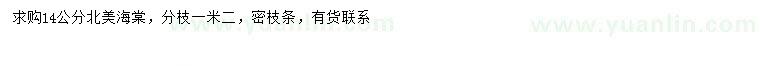 求購(gòu)14公分北美海棠