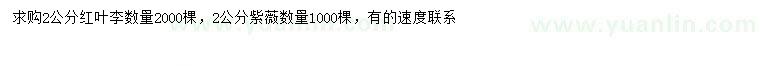 求購(gòu)2公分紅葉李、紫薇