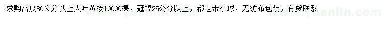 求購高80公分以上大葉黃楊
