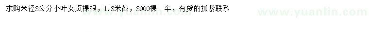 求購米徑3公分小葉女貞