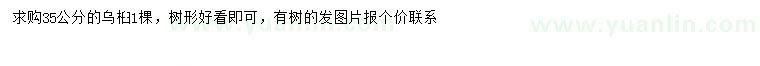 求購(gòu)35公分烏桕