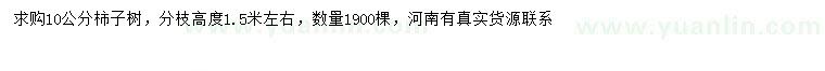 求購10公分柿子樹
