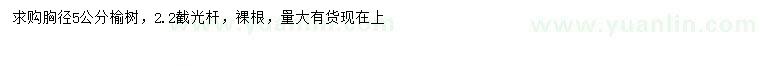 求購胸徑5公分榆樹