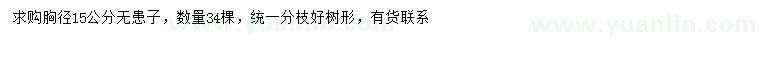 求購(gòu)胸徑15公分無(wú)患子