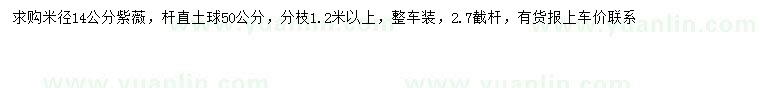 求購米徑14公分紫薇