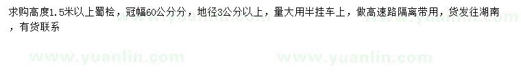 求購高1.5米以上蜀檜