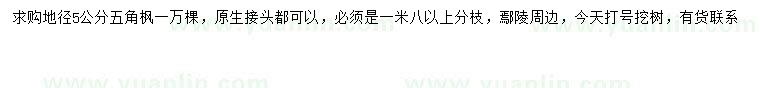求購地徑5公分五角楓