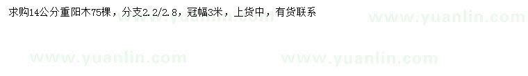 求購14公分重陽木