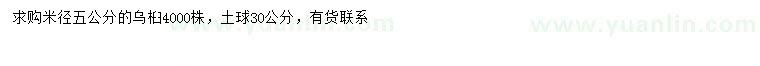 求購米徑5公分烏桕