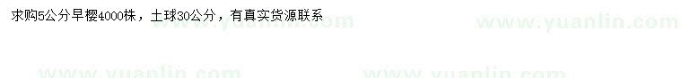 求購5公分早櫻
