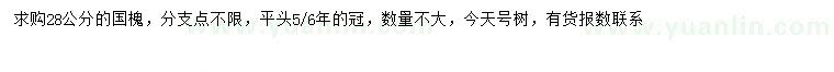 求購28公分國槐