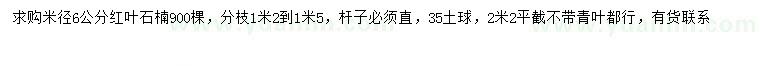 求購米徑6公分紅葉石楠
