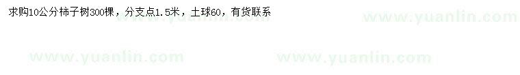 求購10公分柿子樹