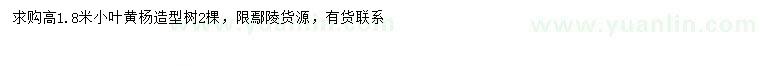 求購高1.8米造型小葉黃楊