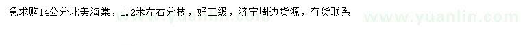 求購14公分北美海棠