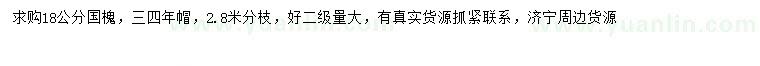 求購(gòu)18公分國(guó)槐