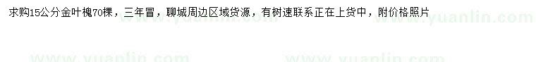 求購(gòu)15公分金葉槐