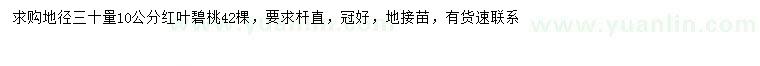 求購30量10公分紅葉碧桃