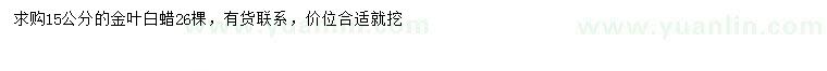求購(gòu)15公分金葉白蠟