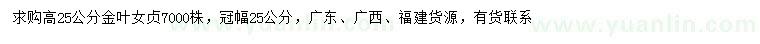 求購高25公分金葉女貞