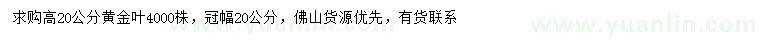 求購高20公分黃金葉