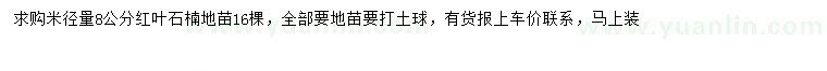 求購米徑8公分紅葉石楠