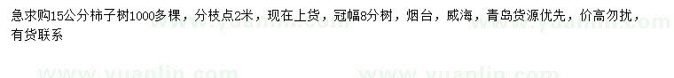 求購15公分柿子樹
