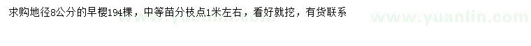 求購地徑8公分早櫻