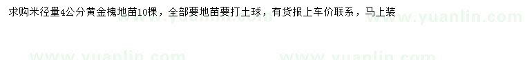 求購(gòu)米徑4公分黃金槐
