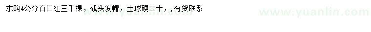 求購(gòu)4公分百日紅
