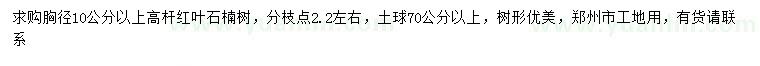 求購胸徑10公分以上高桿紅葉石楠