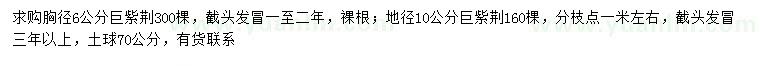 求購胸徑6公分、地徑10公分巨紫荊