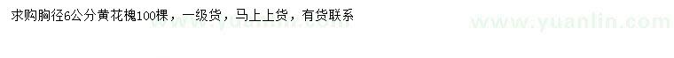 求購胸徑6公分黃花槐