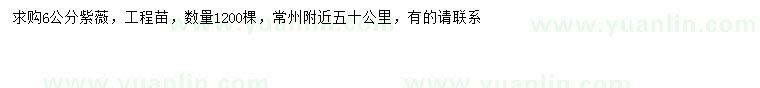 求購6公分紫薇