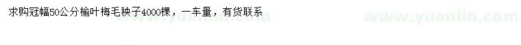 求購(gòu)冠幅50公分榆葉梅