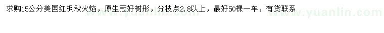 求購15公分美國紅楓秋火焰