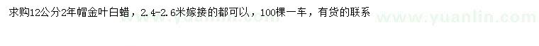 求購12公分金葉白蠟