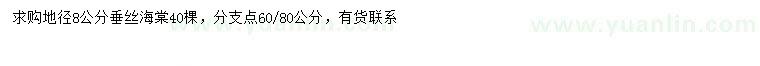 求購地徑8公分垂絲海棠