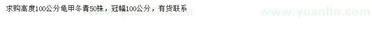 求購高100公分龜甲冬青