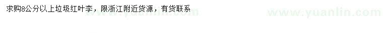 求購8公分紅葉李