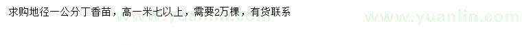 求購地徑1公分丁香