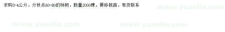 求購3-4公分柿樹
